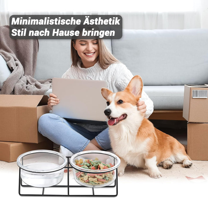 Hundenapf Katzennapf - Futternapf Hund Katze - Futterstation Hund Katzen Erhöht mit Ständer - Doppel