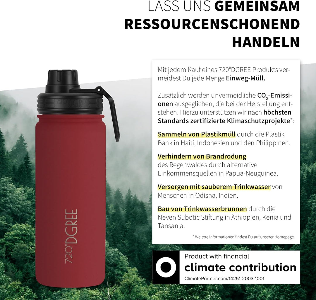 720°DGREE Edelstahl Thermo Trinkflasche 530ml “noLimit” +Früchtebehälter - Auslaufsicher, Kohlensäur