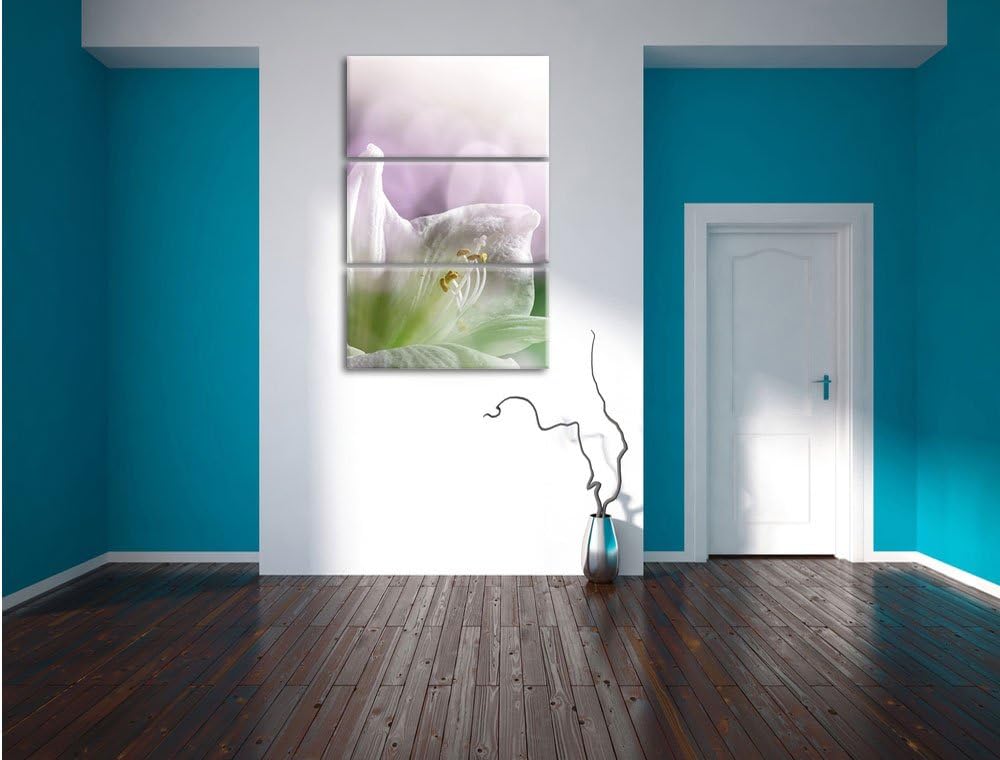 Pixxprint Einzigartige Sphynx Katze als Leinwandbild/Grösse: 3 Teilig (120x80) / Wandbild/Kunstdruck