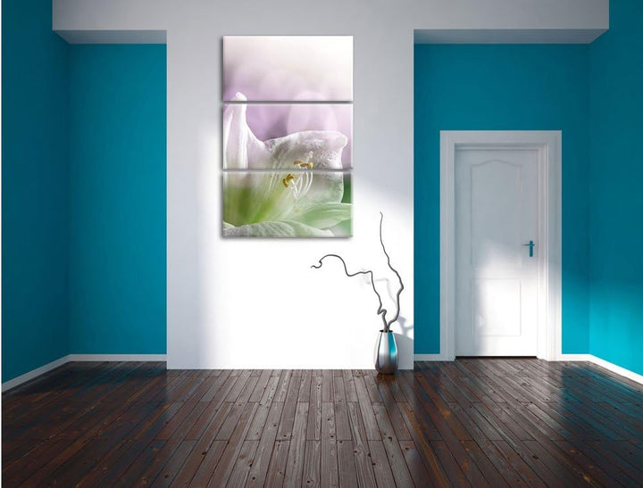 Pixxprint Einzigartige Sphynx Katze als Leinwandbild/Grösse: 3 Teilig (120x80) / Wandbild/Kunstdruck