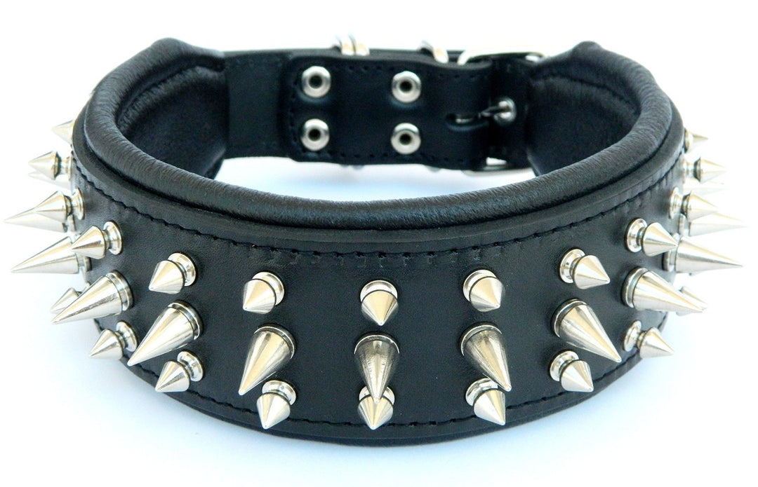 Bestia "Danger Echtleder Hundehalsband mit Schraubspitzen und Leder Innenpolsterung. 6,5 cm breit M