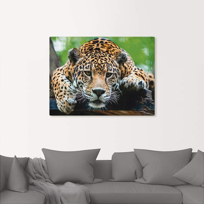 ARTland Leinwandbilder Wandbild Bild auf Leinwand 60x45 cm Tiere Wildtiere Raubkatze Fotografie Brau