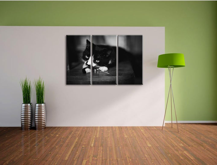 Schwarze Katze spielt mit Ehering B&W Detail 3-Teiler Leinwandbild 120x80 Bild auf Leinwand