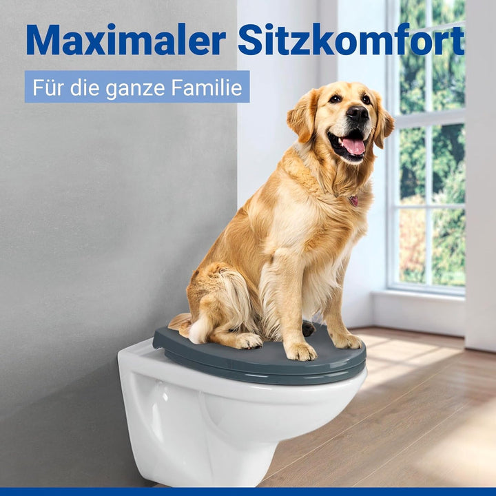 WENKO WC-Sitz Mod. Ostuni grauer bruchstabiler Thermoplast mit Easy Close Absenkautomatik und Edelst