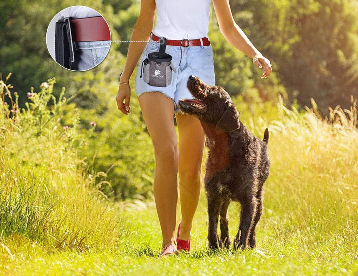 AMZNOVA Futterbeutel Hund Treatnow Leckerlitasche für Hunde, Futterbeutel Hundetraining für Training