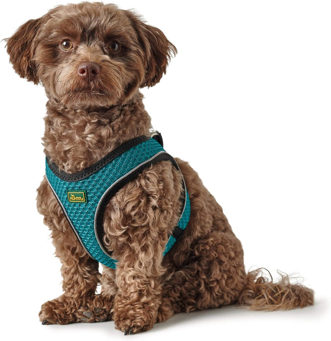 HUNTER Hundegeschirr HILO COMFORT, Farbe: türkis, Easy Step-In Geschirr für kleine bis mittlere Hund