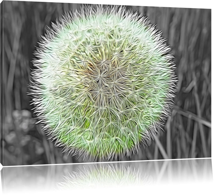 klassische zarte Pusteblume schwarz/weiss Deluxe Format: 100x70 cm auf Leinwand, XXL riesige Bilder