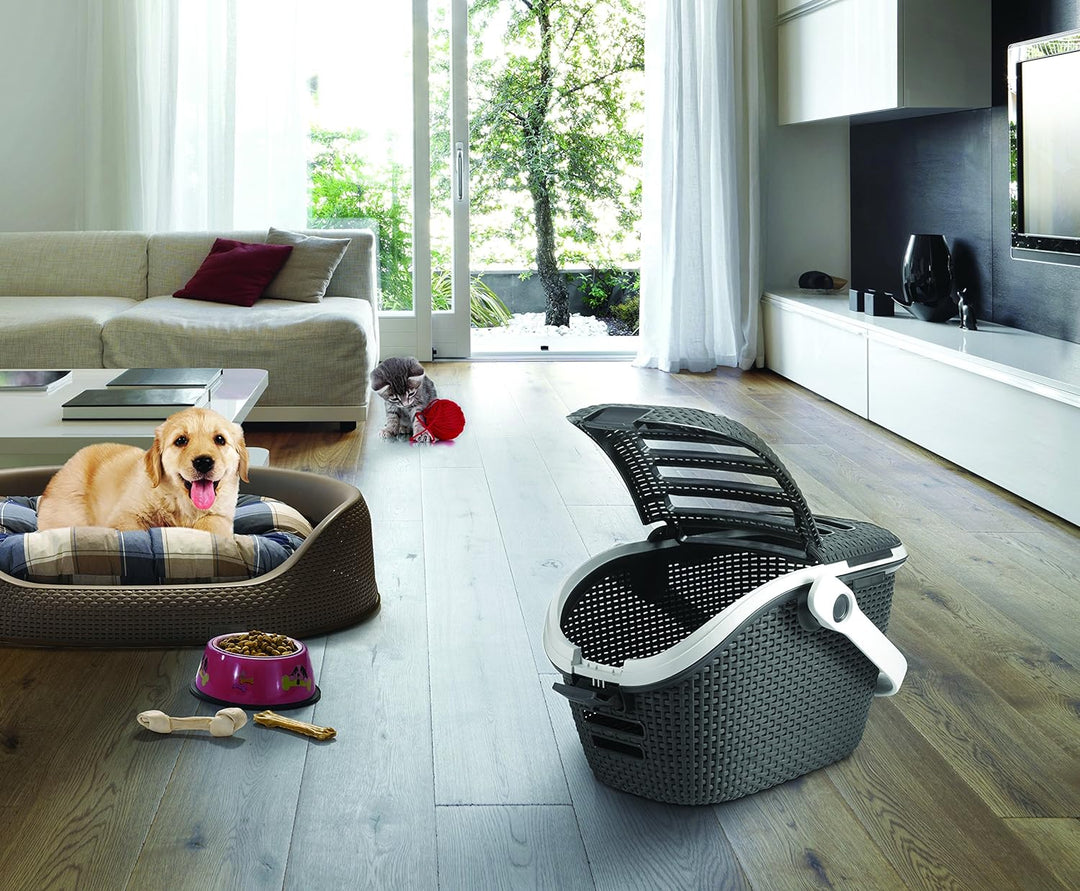 Curver Transportbox L: 51 cm B: 38 cm H: 33 cm anthrazit anthrazit 1 Stück (1er Pack), anthrazit 1 S