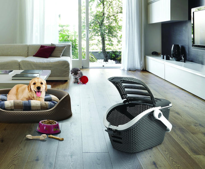 Curver Transportbox L: 51 cm B: 38 cm H: 33 cm anthrazit anthrazit 1 Stück (1er Pack), anthrazit 1 S