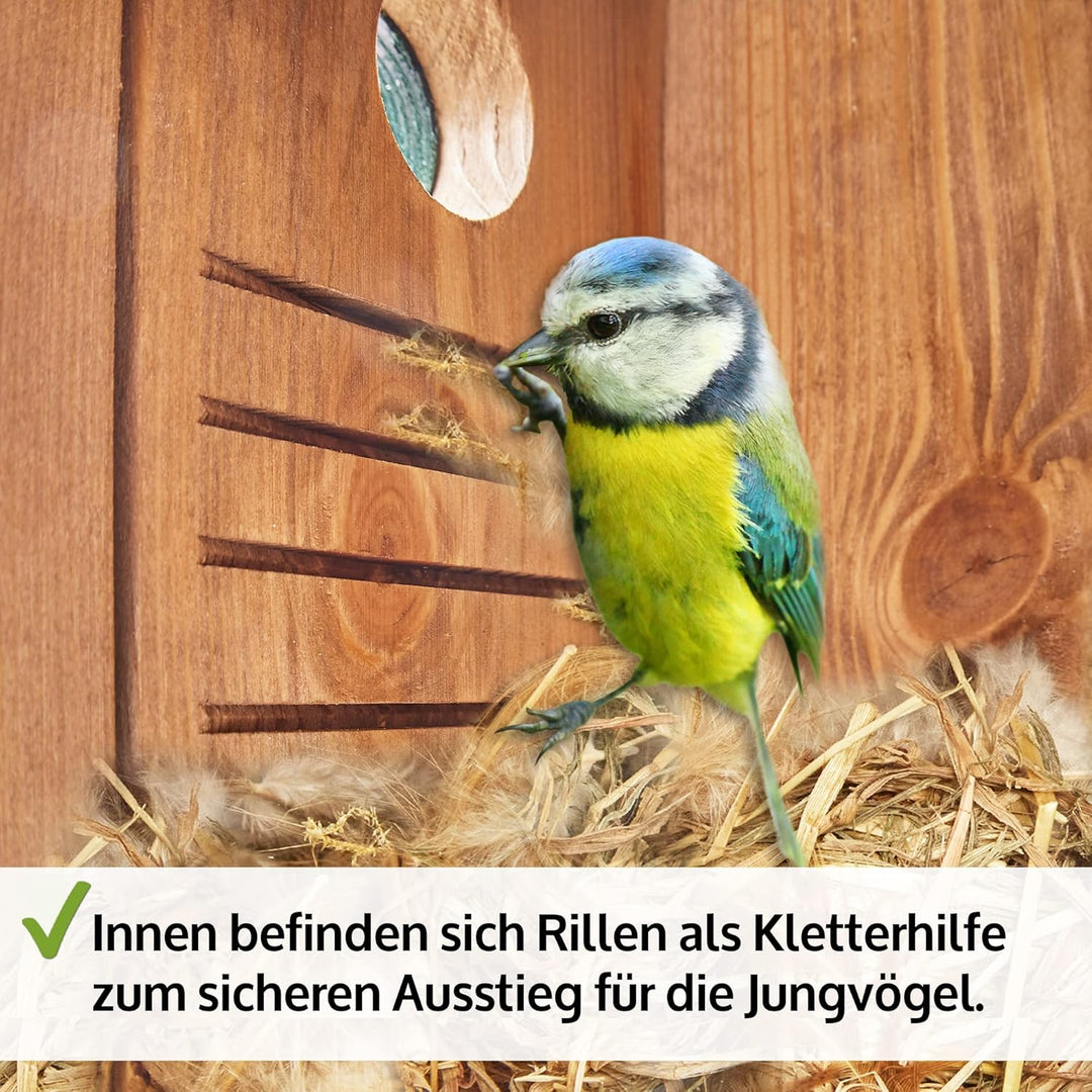 Zooprinz Nistkasten für Wildvögel – Massiv- Holz Vogelhäuschen mit sicherem Schutz gegen Nesträuber