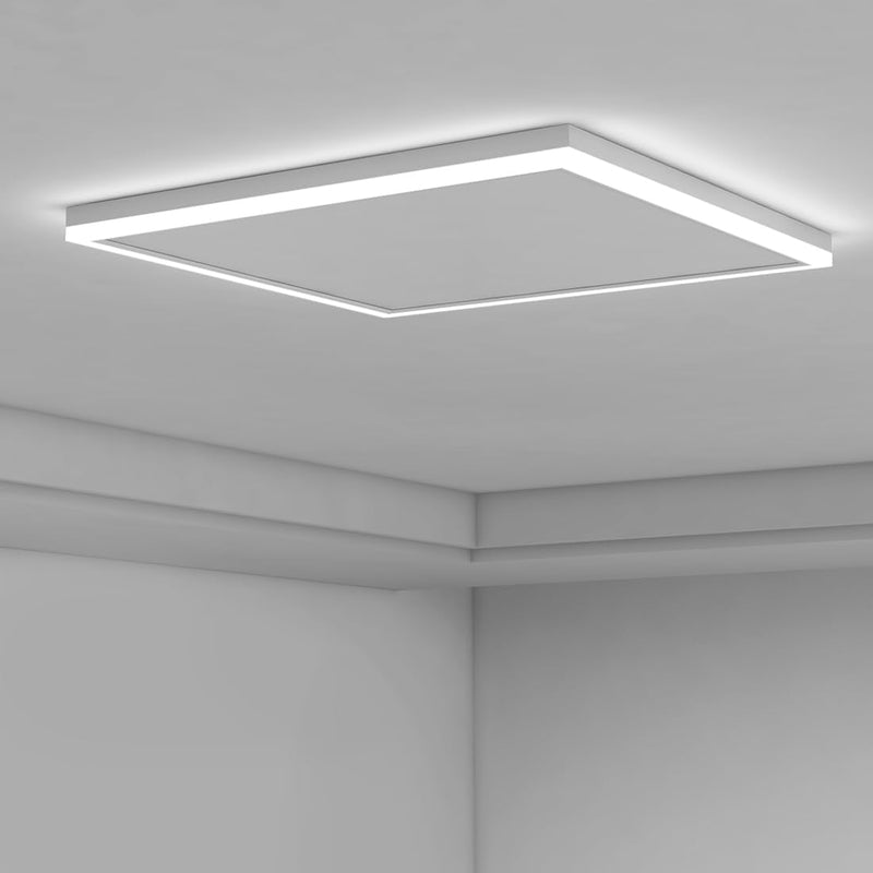 Infrarotheizung mit Thermostat 350W Deckenheizung mit LED Licht Beleuchtung Kaltweiss/Warmweiss Eins