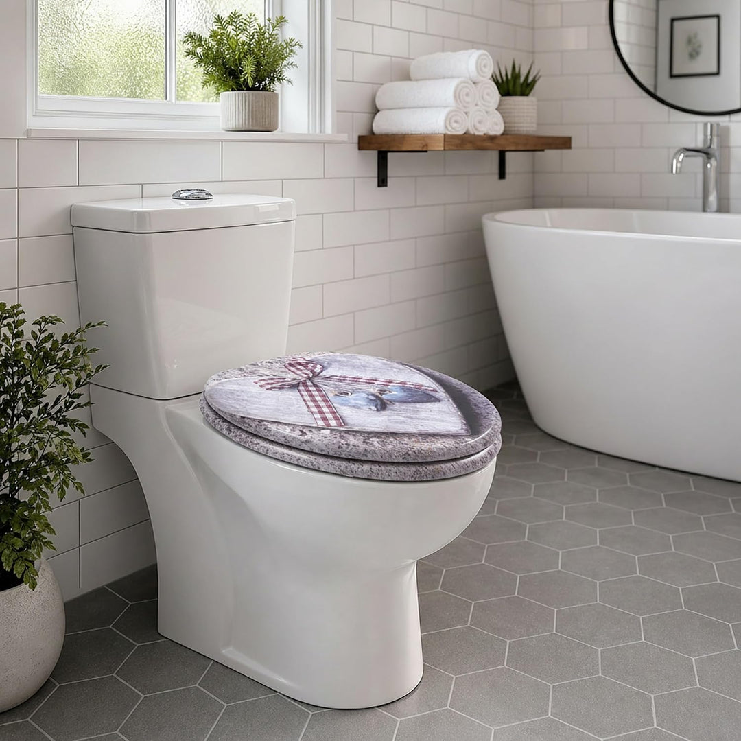 SINOBATH Premium WC Sitz mit Absenkautomatik – hochwertige Toilettendeckel aus Holz, viele bunte Mot
