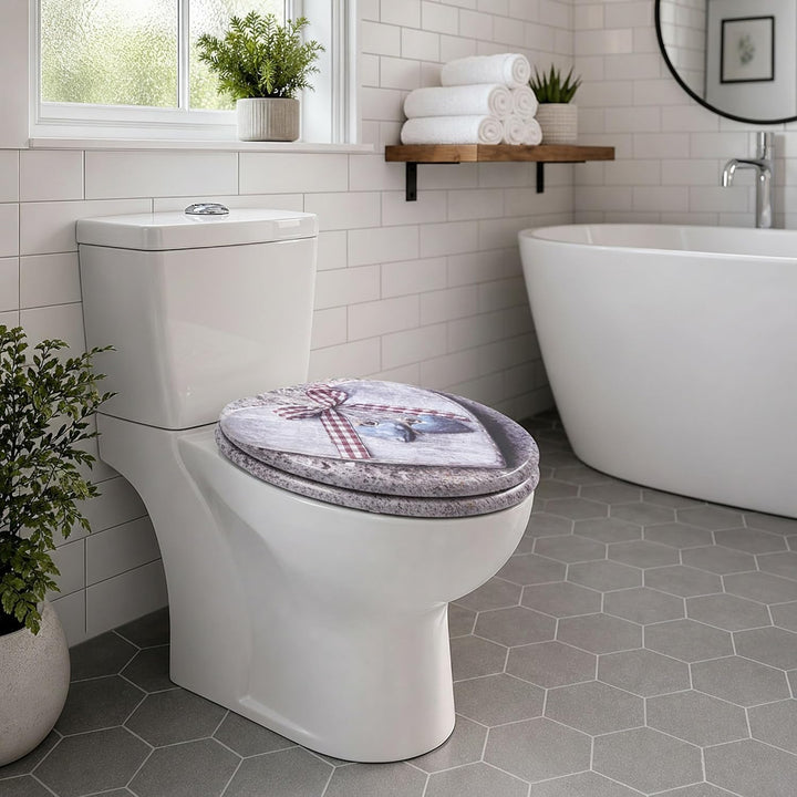 SINOBATH Premium WC Sitz mit Absenkautomatik – hochwertige Toilettendeckel aus Holz, viele bunte Mot