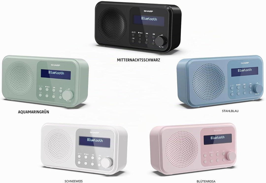 SHARP DR-P420 Portables Digitalradio (DAB/DAB+/FM mit RDS, USB, Bluetooth 5.3, 3,5mm Klinke Wecker-F
