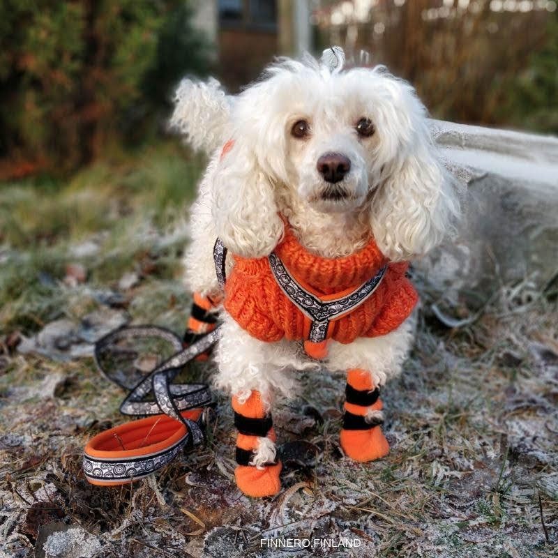 FinNero Pet Products Hundegeschirr, weich, gepolstert, 60 cm, Orange Orange 60 cm / 24 in, Orange 60