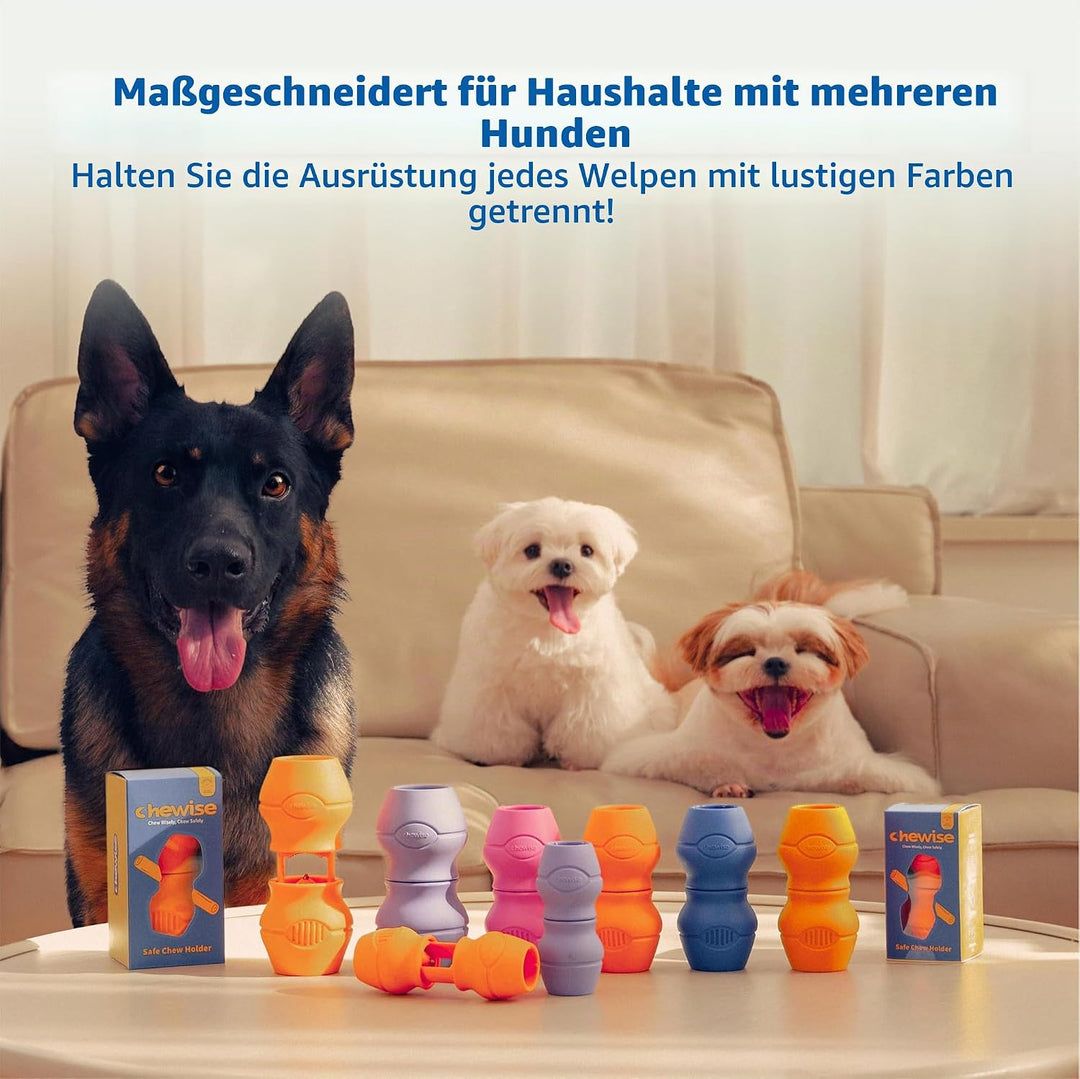 PetClan Chewise Bully Stick Halter – Sicherheit &amp; Robustes Design, BPA-frei, Sicherer Ochsenziemer-H