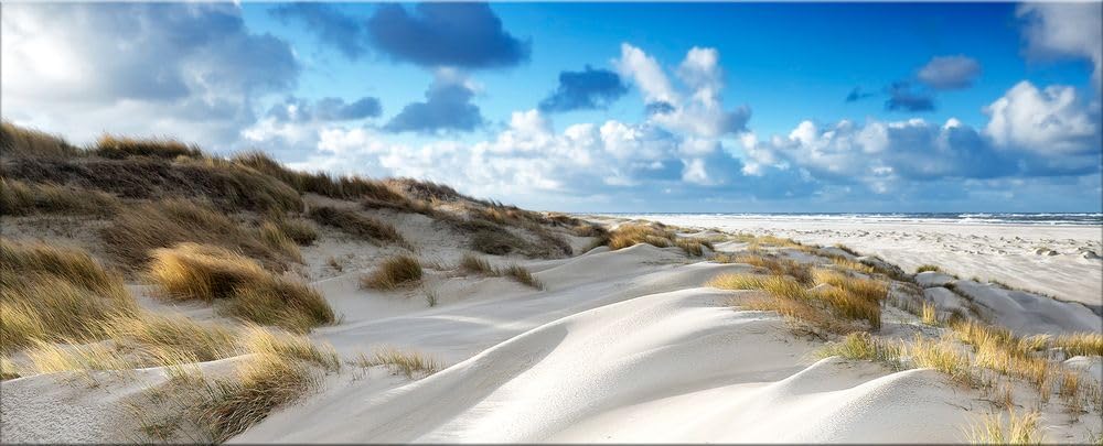 artissimo, Glasbild XXL, 125x50 cm Querformat, AG5398A, Strand und Meer: Dünen-Landschaft, Bild aus