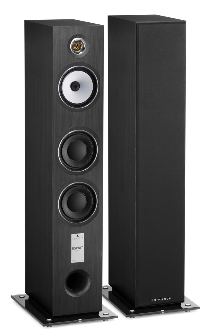 TRIANGLE - Hi-Fi-Standlautsprecher Antal EZ - Belastbarkeit 120 W - Wirkungsgrad 92 dB/W/m - Vielsei