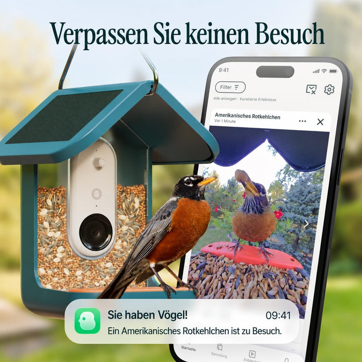 Birdbuddy PRO Solar Smart Bird Feeder mit Kamera – KI-Vogelartenidentifizierung, 5-MP-Fotos, 2K-HD-V