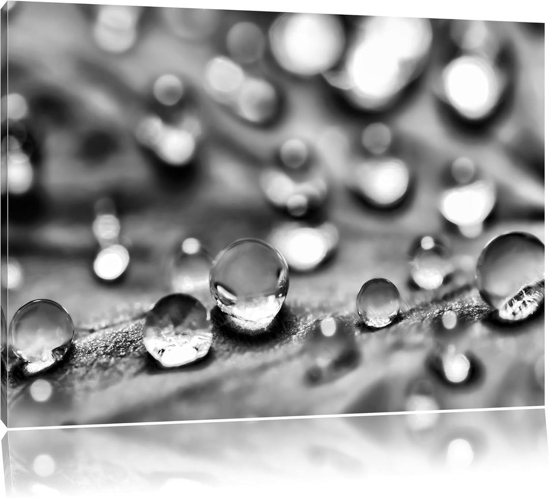 Pixxprint Monocrome, Wassertropfen auf Blatt, Format: 100x70 auf Leinwand, riesige Bilder fertig ger
