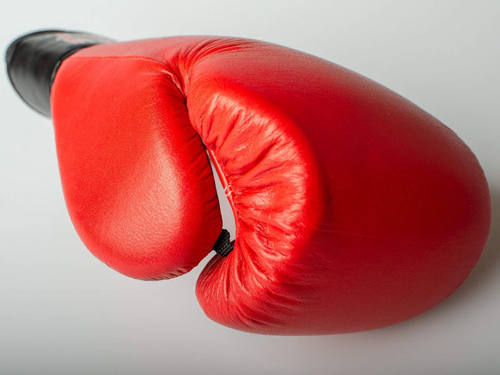 Paffen Sport KIBO Fight Echtleder-Box- und Kampfsporthandschuhe für das Training und Sparring im Box