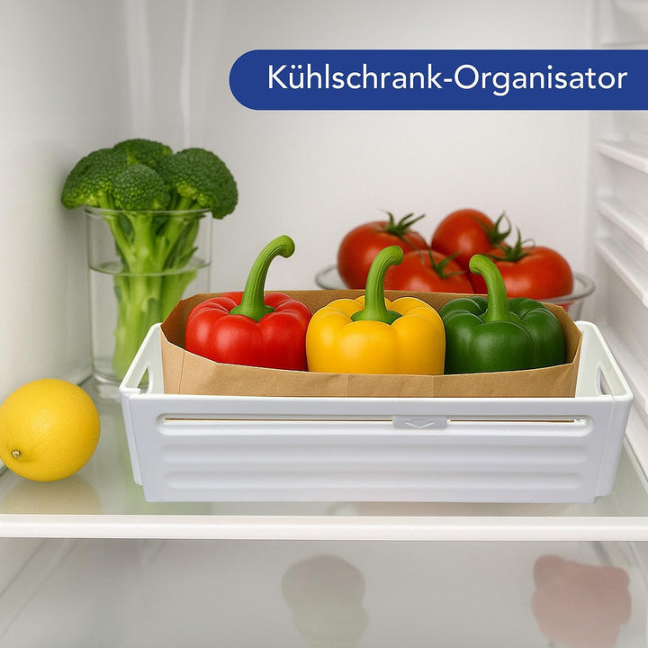 Rosenstein & Söhne Schrank Organizer: 6er-Set Küchenschrank-Organizer, faltbar, weiss (Kühlschrank-B