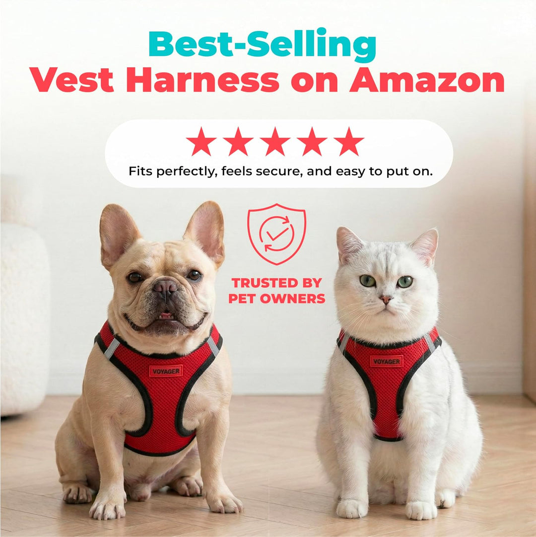 Best Pet Supplies Voyager Step-In Air-Hundegeschirr – Allwetter-Mesh-Weste für kleine und mittelgros
