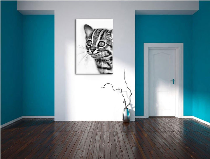 Pixxprint Monocrome, Junge Marmorkatze, Format: 100x70 auf Leinwand, 100x70