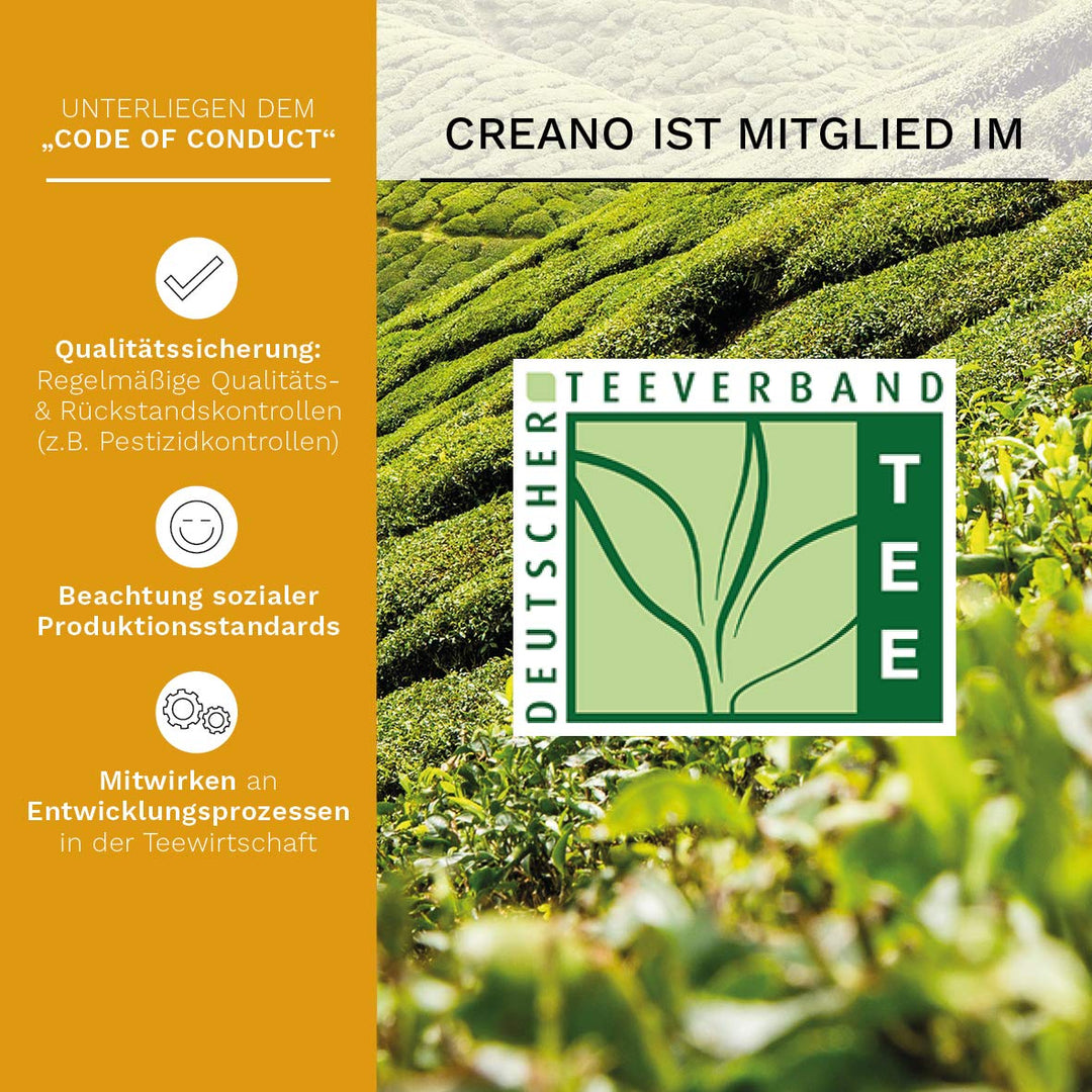 Creano ErblühTeelini Teeblumen Geschenkset mit Teeglas und 8 Teeblumen im Tassenformat, Weisser Tee,
