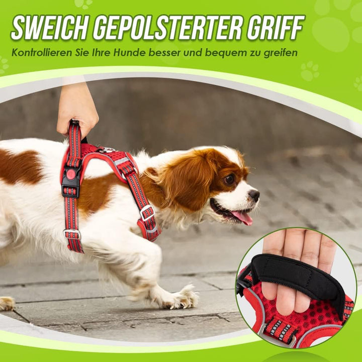 Eyein No-Pull Hundegeschirr, Air-Mesh Atmungsaktiv Brustgeschirr für kleine, mittelgrosse und grosse