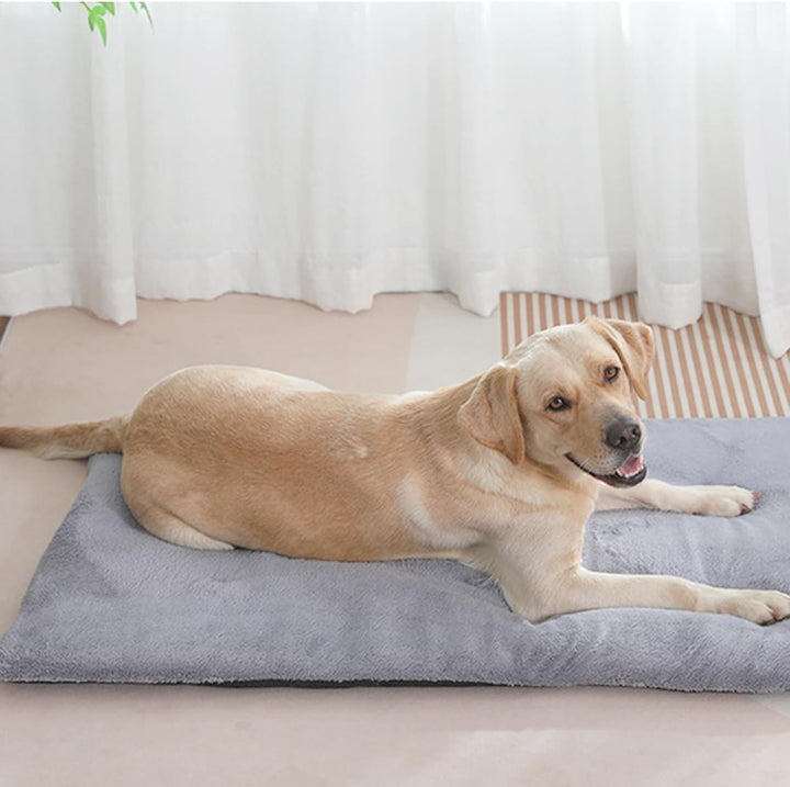 Selbstheizende Katzendecke: 70 x 45cm Selbstheizende Decke Katze, Flauschig und Weich Wärmedecke Kat