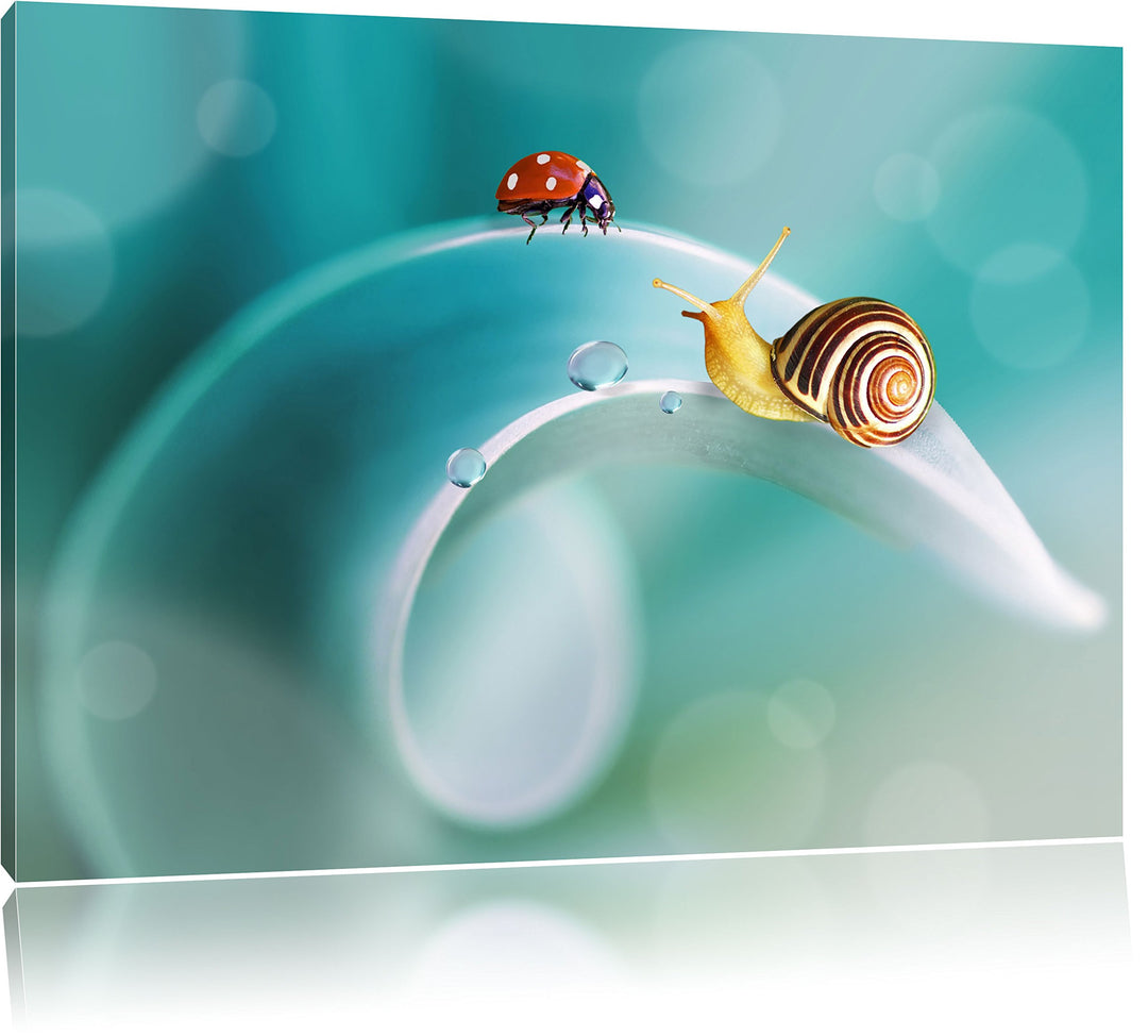 Pixxprint eine Schnecke und Marienkäfer als Leinwandbild/Grösse: 100x70 cm/Wandbild/Kunstdruck/ferti