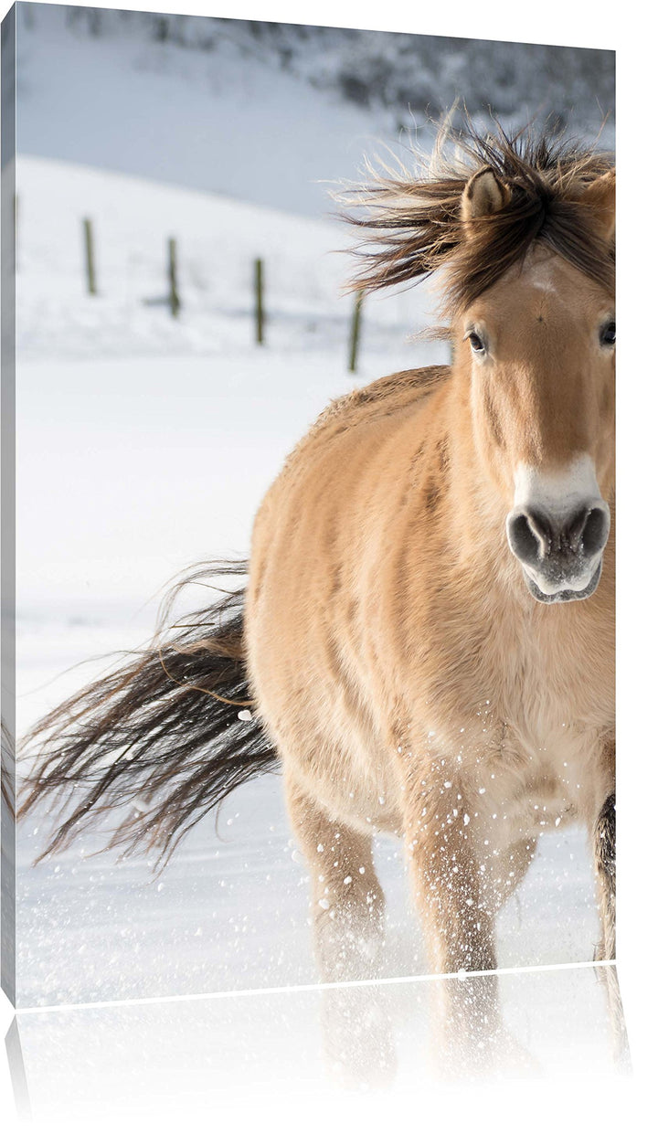 Pferd im Schnee, Format: 100x70 auf Leinwand, XXL riesige Bilder fertig gerahmt mit Keilrahmen, Kuns