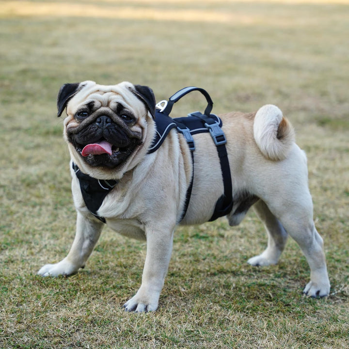 Wuffley Hundegeschirr mit Leine, Sicherheitsgeschirr Hund Ausbruchsicher, Anti Zug Hundegeschirr mit