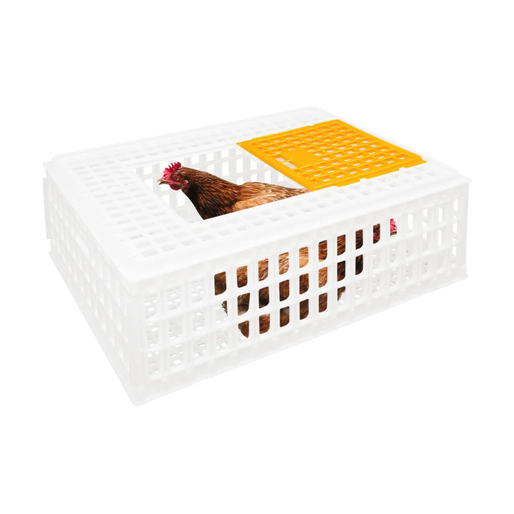 4 Stück Geflügel Tragetasche, Huhn-Transportkäfig mit Schiebetür und Transportgriffen, Korb Box für