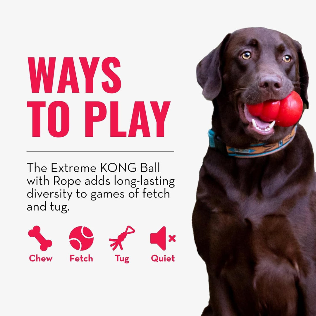 KONG Extreme Ball mit Seil Large 1 Stück (1er Pack), 1 Stück (1er Pack)