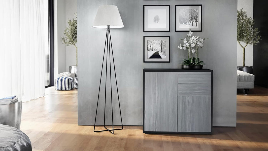 Vladon Sideboard Ben, Made in Germany, Kommode mit 2 Türen und 2 Schubladen, Schwarz matt/Avola-Anth