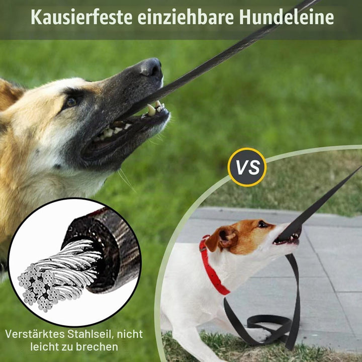 Einziehbare Hundeleine, 8 m, mit 2 kausicheren Seilen, Stahlkette, doppelte ausziehbare Leine für mi