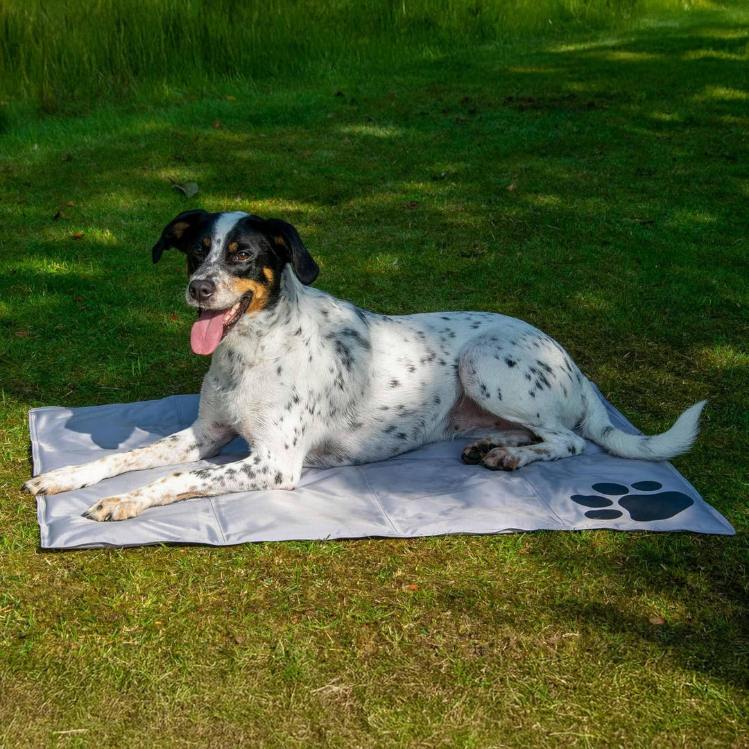 dobar® 60422 Kühlmatte für Hunde - Hundekühlmatte für Hund & Katze - selbstkühlende Matte für Hausti