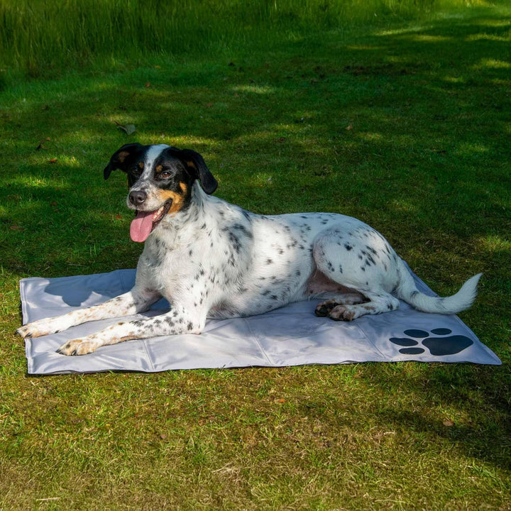 dobar® 60422 Kühlmatte für Hunde - Hundekühlmatte für Hund & Katze - selbstkühlende Matte für Hausti