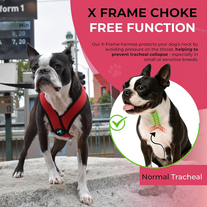 Gooby Comfort X Head In Harness – Rot, Gross – No Pull Kleine Hundegeschirr, Patentierter Würgefreie