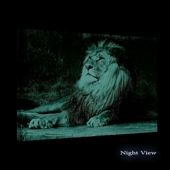 Startonight Bilder König der Löwen, Leinwandbilder Moderne Kunst, Tiere Wanddeko Kunstdrucke, Wandbi