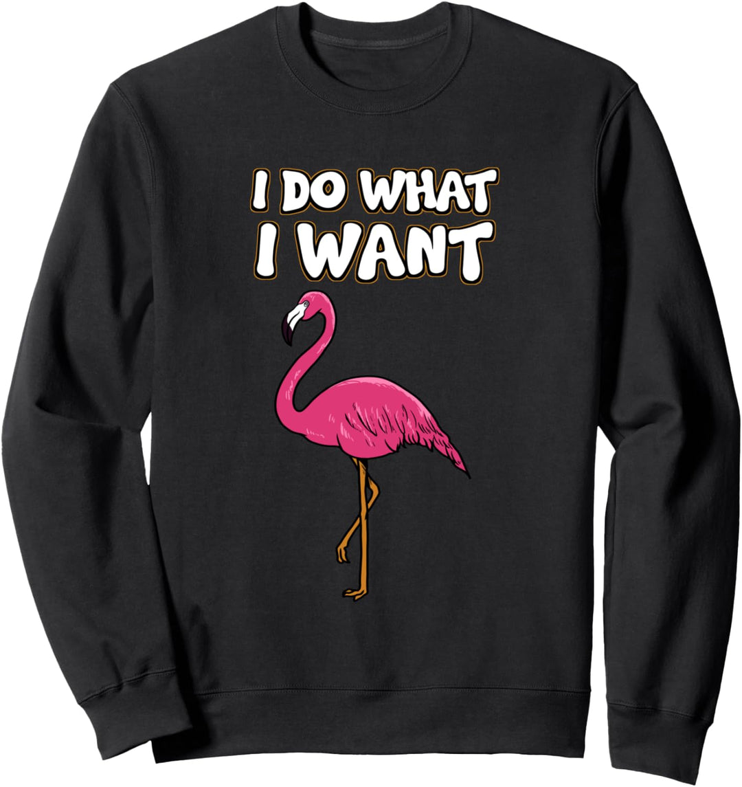 Ironie Sarkusmus Lustig Witzig - I Do What I Want Sweatshirt