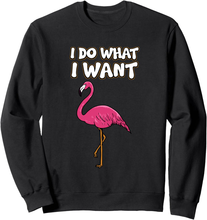 Ironie Sarkusmus Lustig Witzig - I Do What I Want Sweatshirt