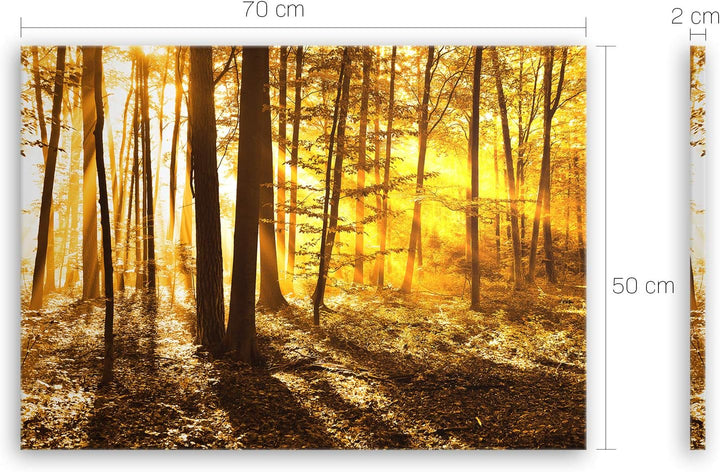 ge Bildet Bild auf Leinwand | beautiful morning in the forest - natur blumen wald gelb orange I in 7