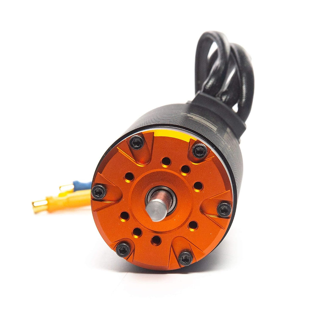 Spektrum Firma 800Kv 4-polig bürstenloser Motor, SPMXSM2600
