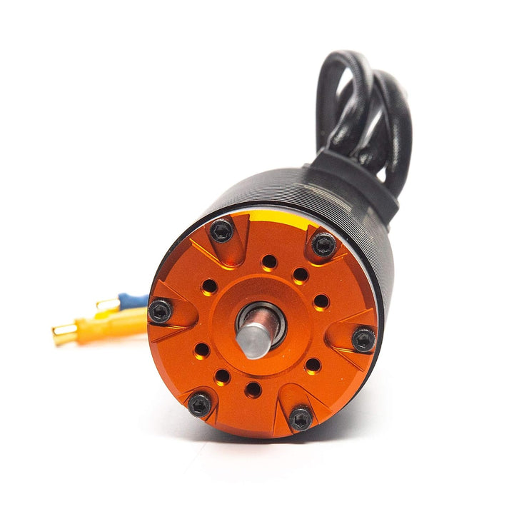 Spektrum Firma 800Kv 4-polig bürstenloser Motor, SPMXSM2600