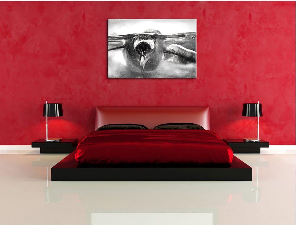 Pinguin im Wasser als Leinwandbild/Grösse: 100x70 / Wandbild/Kunstdruck/fertig bespannt, 100x70