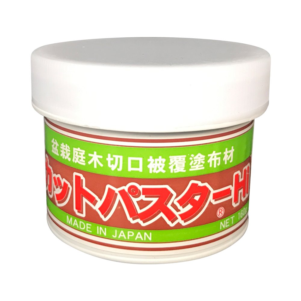 Japanischer Mastix, Heilpaste speziell für Bonsai-Laubbäume, 160 g