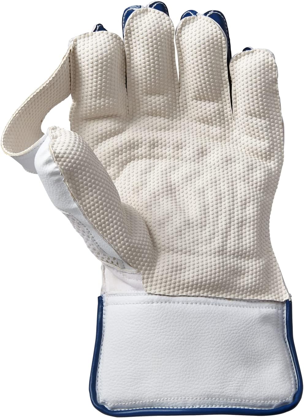 Gunn & Moore Prima Wicket Keeping Handschuhe 2023 Junior (Boys), Junior (Boys)